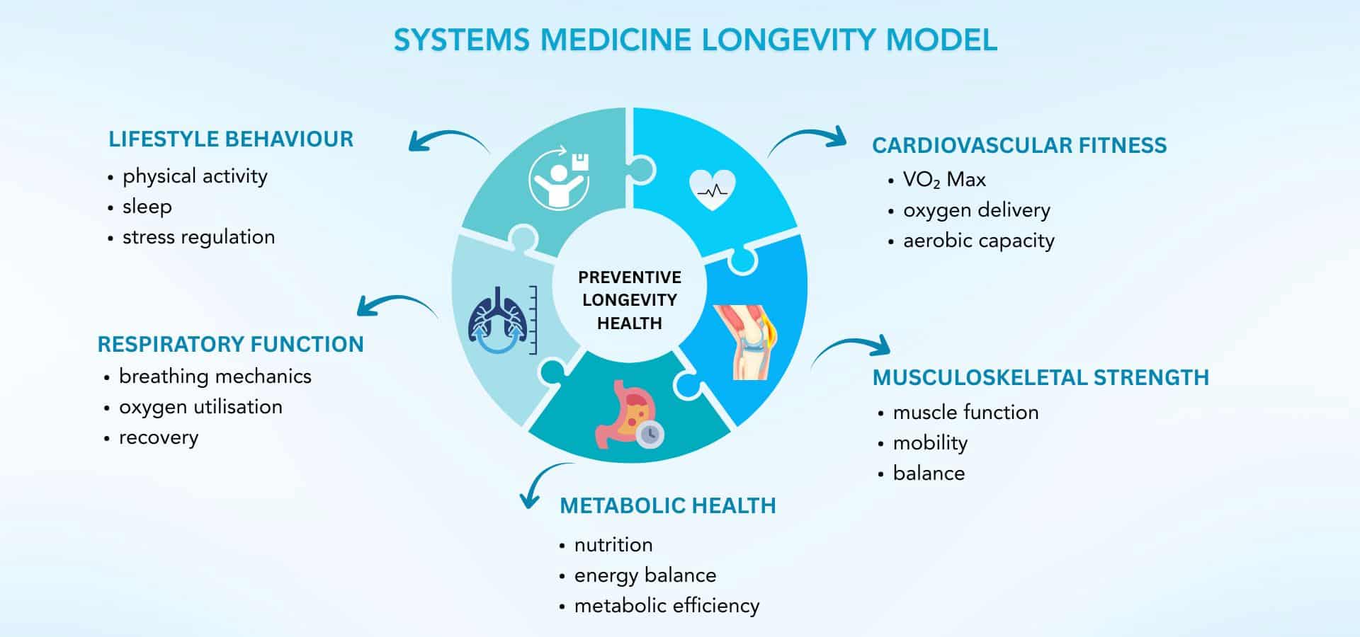 Systems medicine longevity model showing cardiovascular fitness, metabolic health, respiratory function and lifestyle interactions.