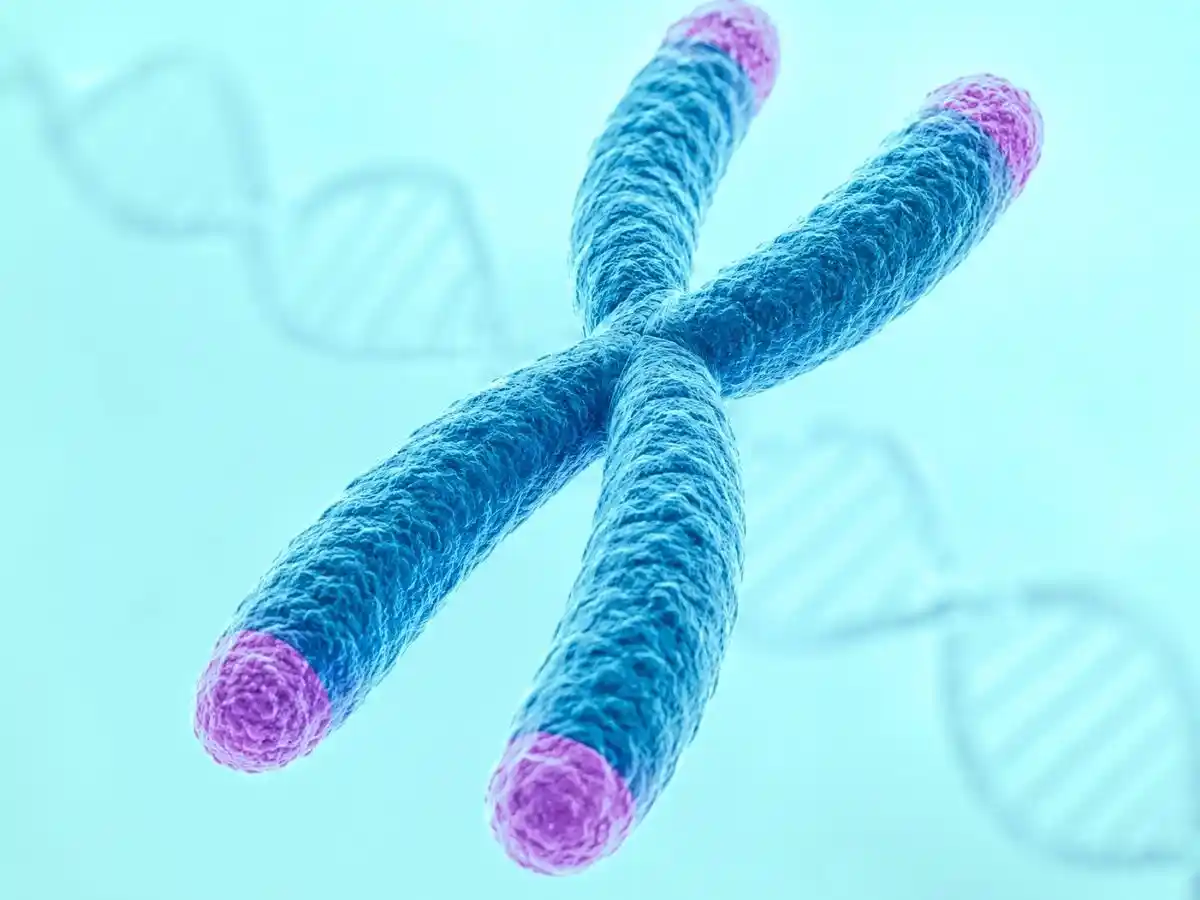 3D illustration of a chromosome with DNA strands in the background.