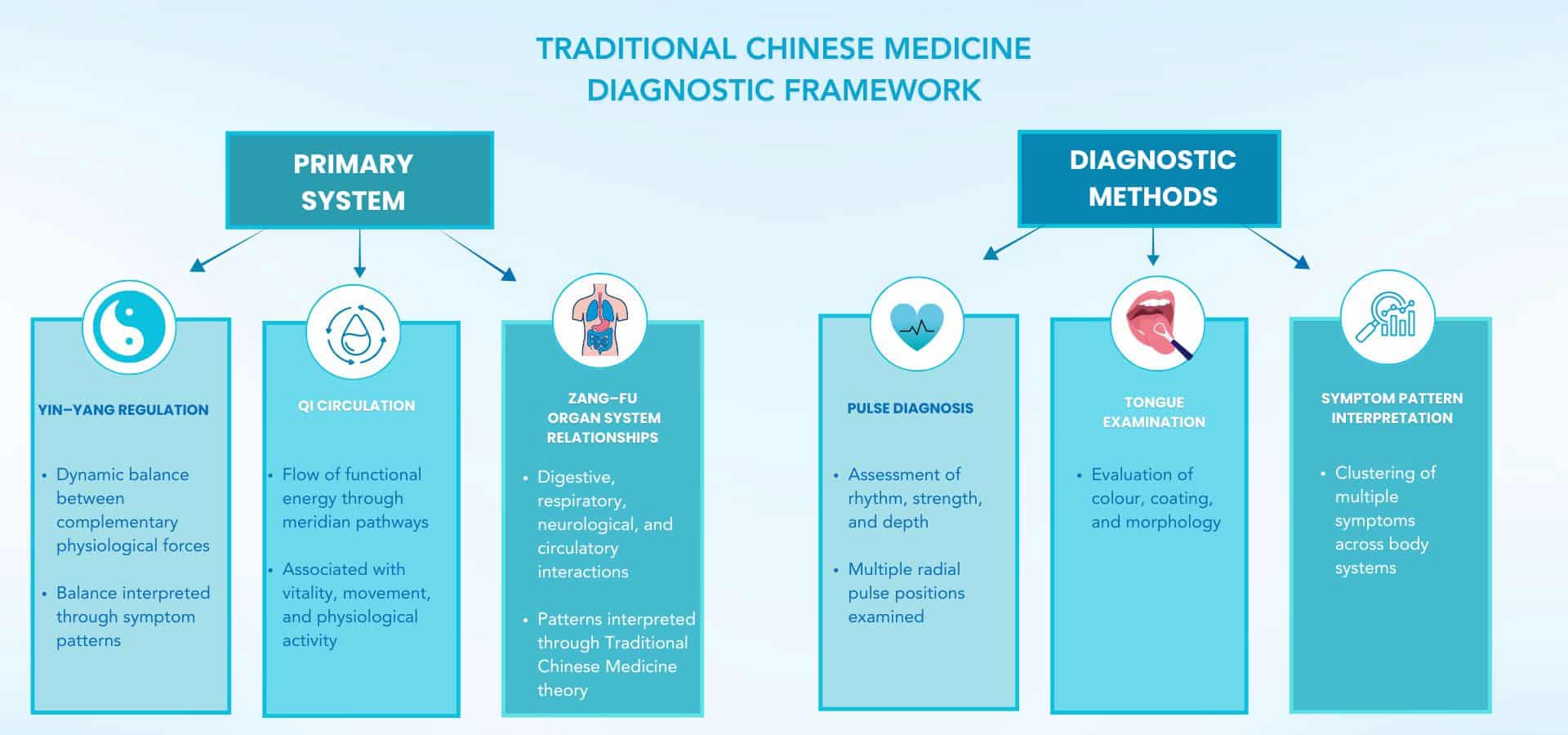 Diagram illustrating the Traditional Chinese Medicine diagnostic system including Yin–Yang balance, Qi circulation, and Zang-Fu organ relationships.