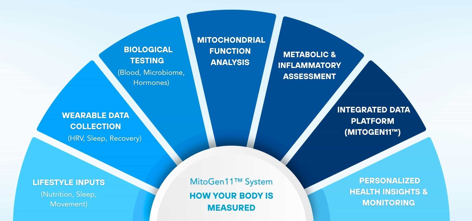 Semi-circular infographic showing how the body is measured, including lifestyle inputs, wearable data, biological testing, mitochondrial analysis, metabolic assessment, data integration, and personalized health insights.