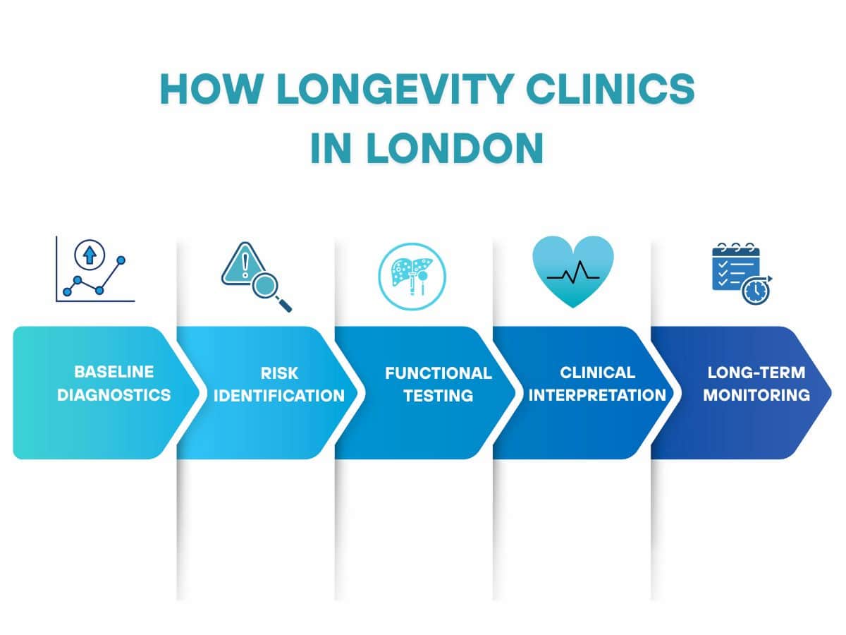 Infographic showing how longevity clinics in London work, including baseline diagnostics, risk identification, functional testing, clinical interpretation, and long-term health monitoring.