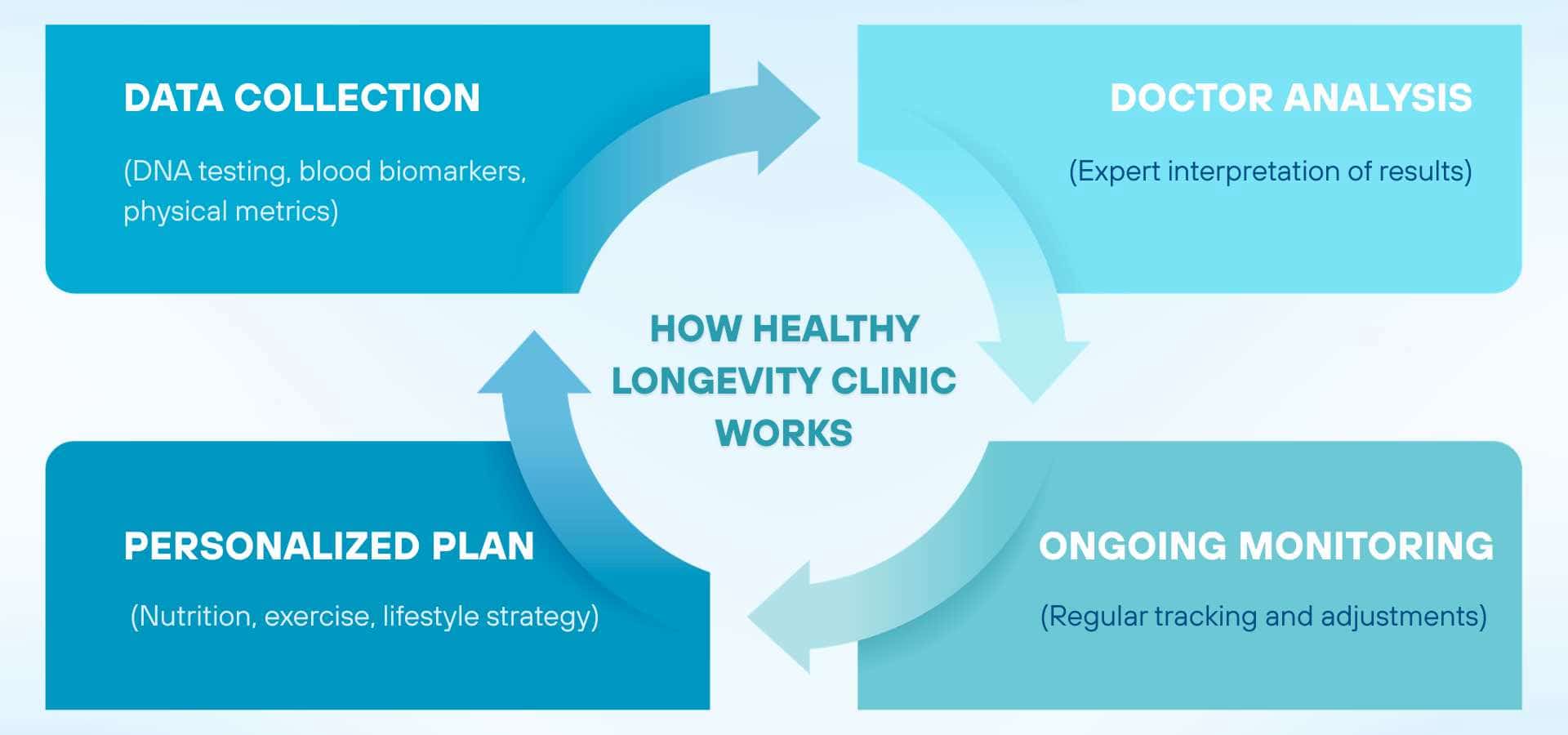 Diagramm, das drei zentrale Gesundheitssysteme zeigt: das metabolische System, das kardiovaskuläre System und die zelluläre Alterung, mit Schlüsselfaktoren wie Energieverbrauch, Herzgesundheit und DNA-Veränderungen.