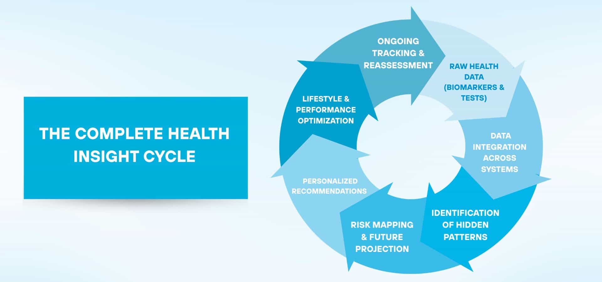 Circular infographic showing the complete health insight cycle, including biomarker data, data integration, pattern detection, risk mapping, personalized recommendations, optimization, and ongoing tracking.