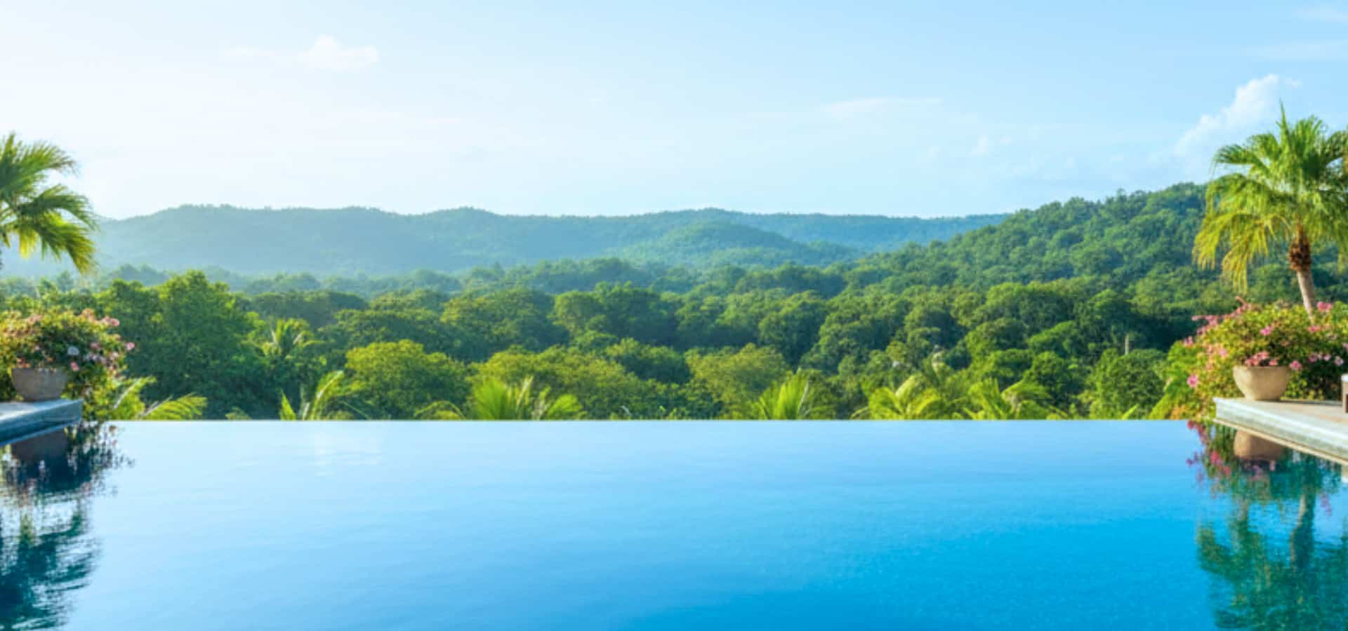 Infinity pool overlooking a lush green tropical forest with rolling hills and palm trees under a clear blue sky.
