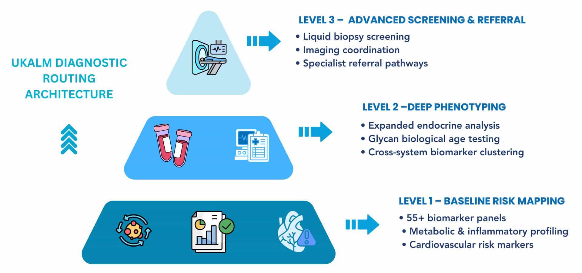 Three-level diagnostic routing model used by UKALM Clinic London for preventive risk mapping.