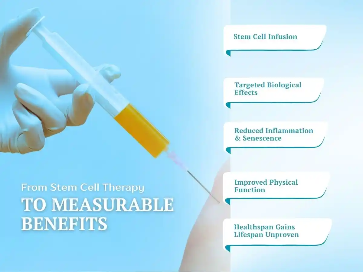 Stem cell therapy infographic showing infusion, targeted effects, reduced inflammation, and potential health benefits.
