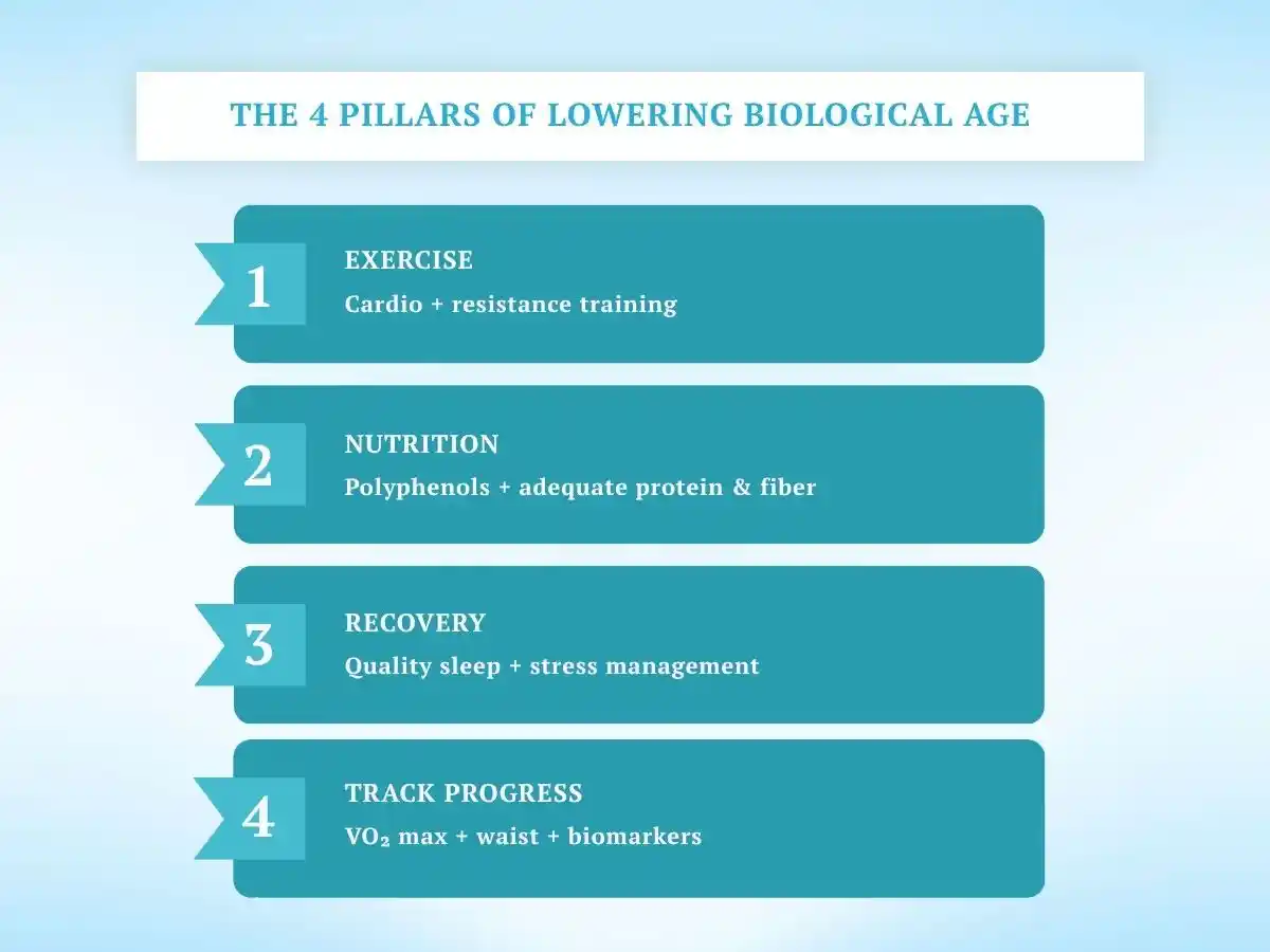 Four pillars of lowering biological age: exercise, nutrition, recovery, and progress tracking