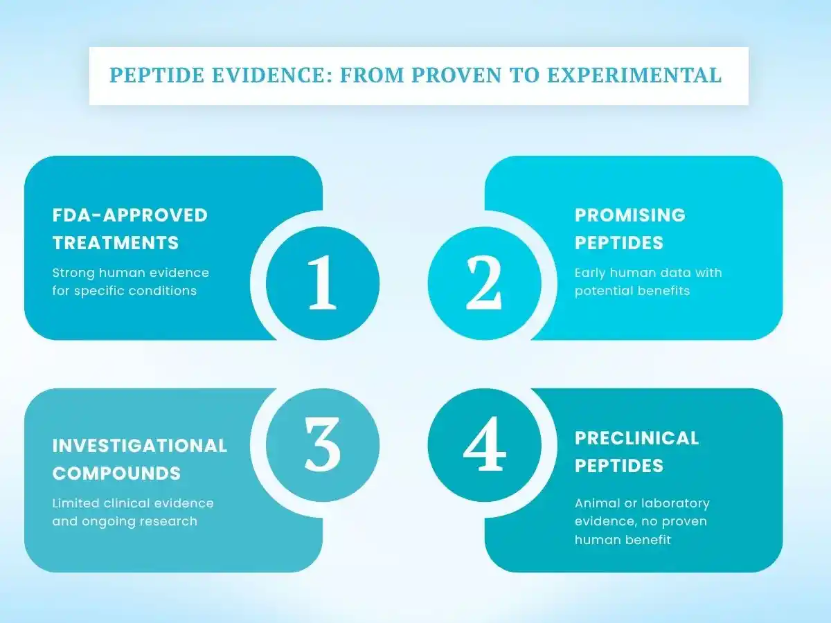 Peptide evidence infographic showing four levels from FDA-approved treatments to experimental peptides.