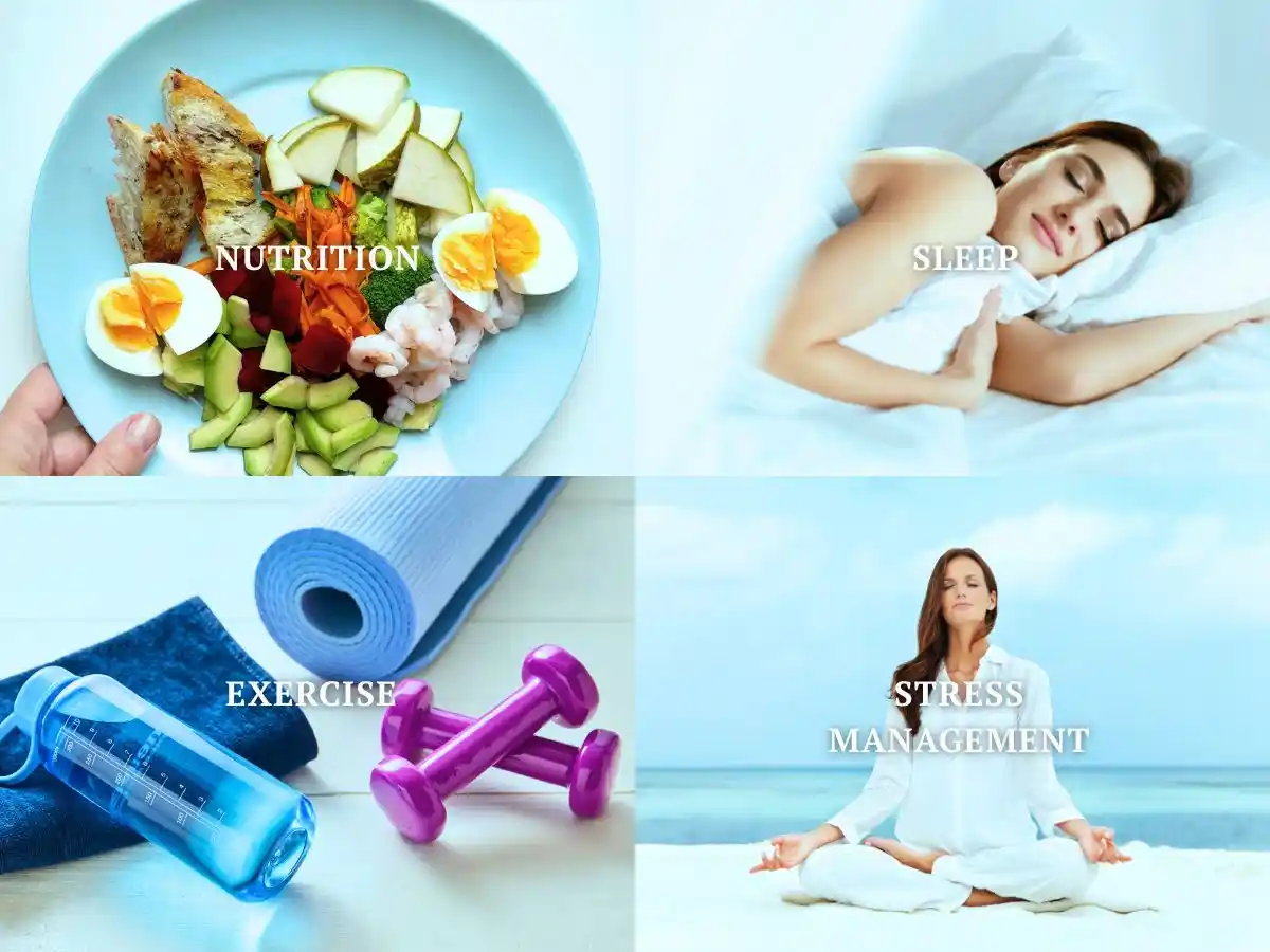 Longevity health pillars showing nutrition, sleep, exercise, and stress management