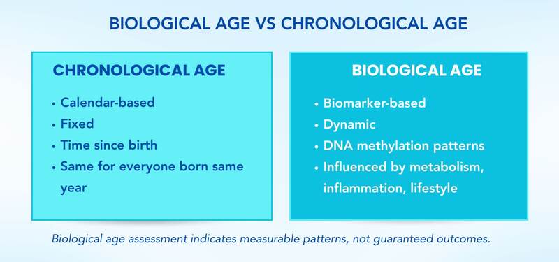 Infographic titled “Biological Age vs Chronological Age” comparing chronological age (calendar-based, fixed, time since birth) with biological age (biomarker-based, dynamic, influenced by DNA methylation, metabolism, inflammation, and lifestyle).