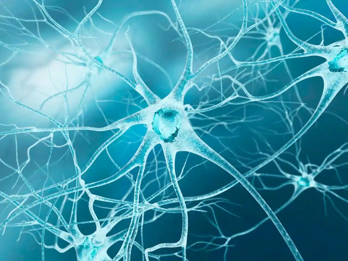 3D illustration of interconnected neurons forming a neural network.