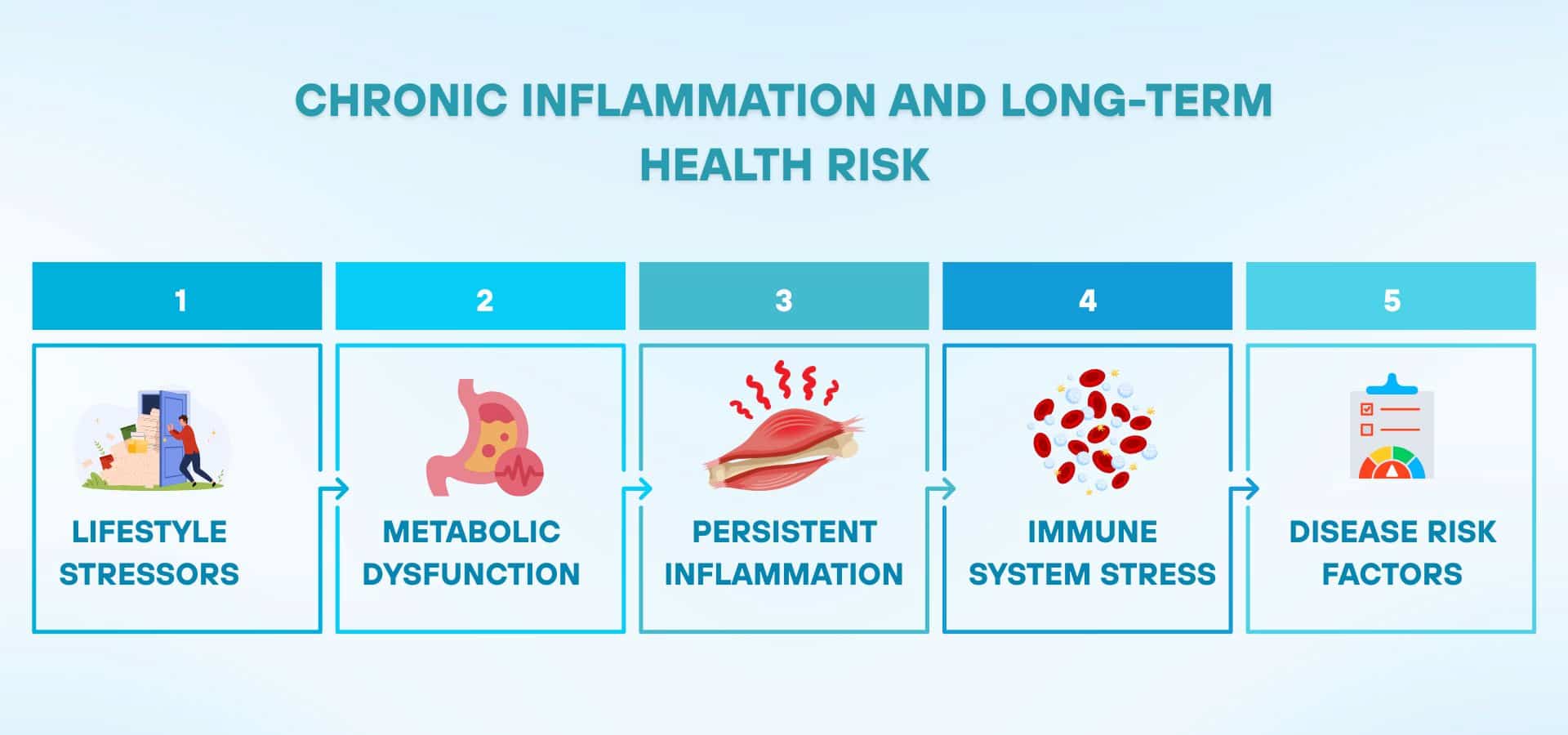 Infographic showing the link between chronic inflammation and long-term health risk, with five stages: lifestyle stressors, metabolic dysfunction, persistent inflammation, immune system stress, and disease risk factors.