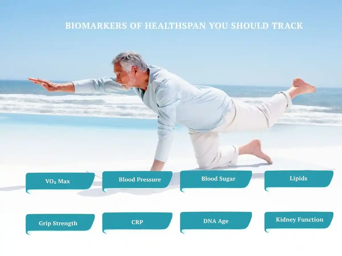 Healthspan biomarkers infographic showing an older man exercising with VO₂ max, blood pressure, blood sugar, lipids, grip strength, CRP, DNA age, and kidney function