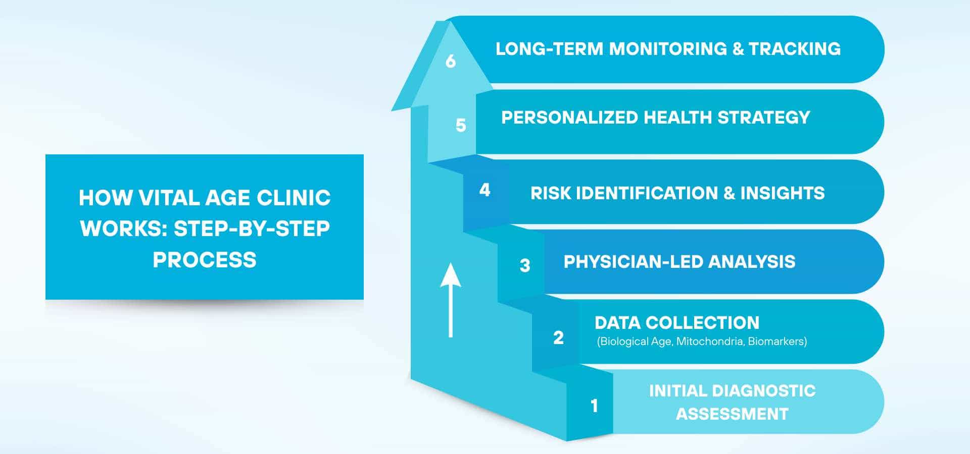 Step-by-step infographic showing how Vital Age Clinic works, including initial diagnostic assessment, data collection, physician-led analysis, risk identification, personalized health strategy, and long-term monitoring and tracking
