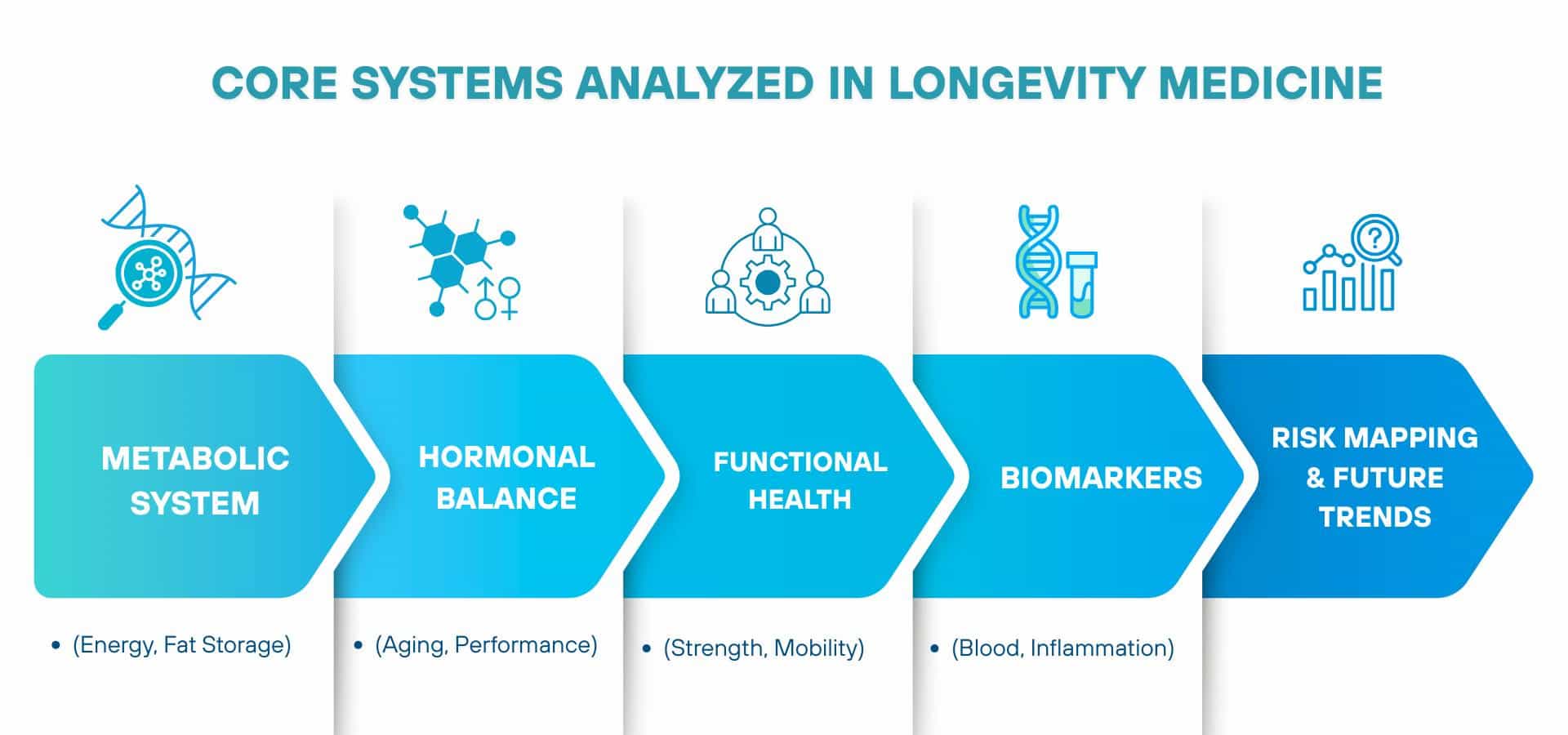 Infografik über die in der Langlebigkeitsmedizin analysierten Kernsysteme, einschließlich Stoffwechselsystem, hormonelles Gleichgewicht, funktionelle Gesundheit, Biomarker sowie Risikobewertung und zukünftige Trends.