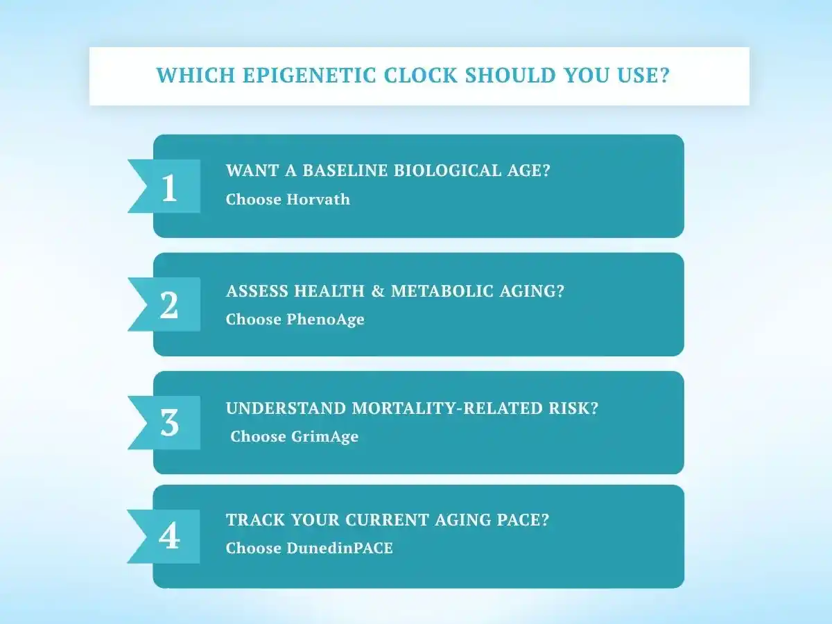 Guide to choosing an epigenetic clock based on biological age, health, mortality risk, and aging pace.