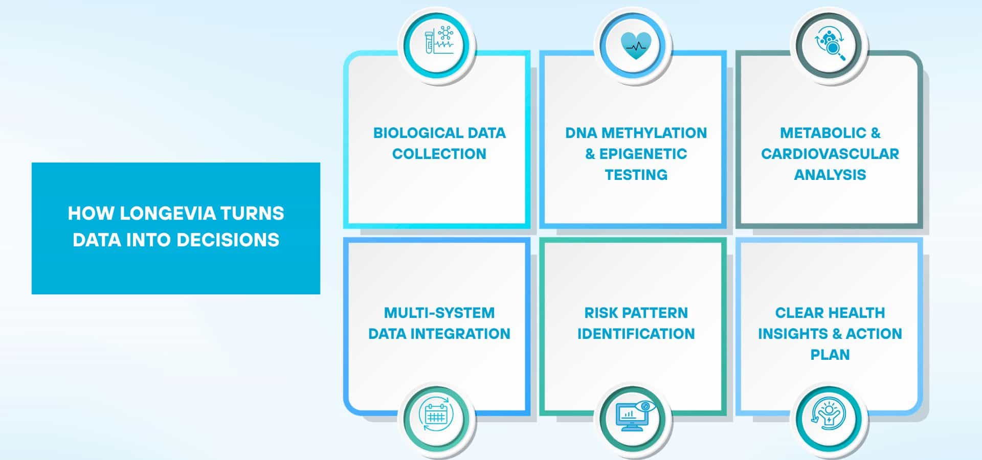 Infographic showing how Longevia turns data into decisions, including biological data collection, DNA methylation testing, metabolic analysis, data integration, risk identification, and action plan.