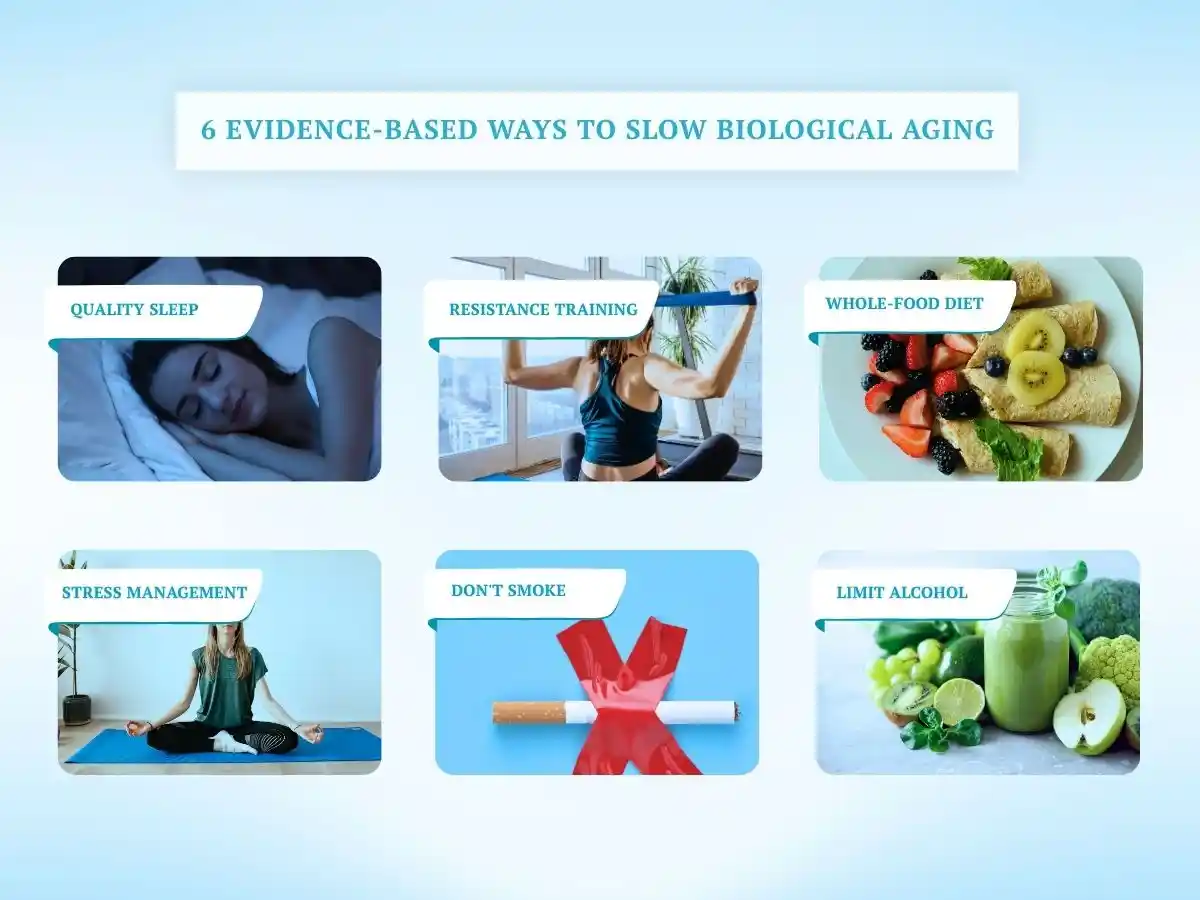 Infographic showing six evidence-based ways to slow biological aging: quality sleep, resistance training, a whole-food diet, stress management, not smoking, and limiting alcohol.