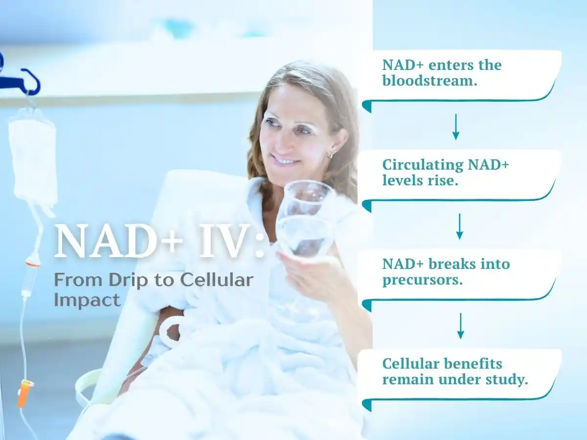 NAD+ IV therapy infographic showing the treatment process and potential cellular effects.