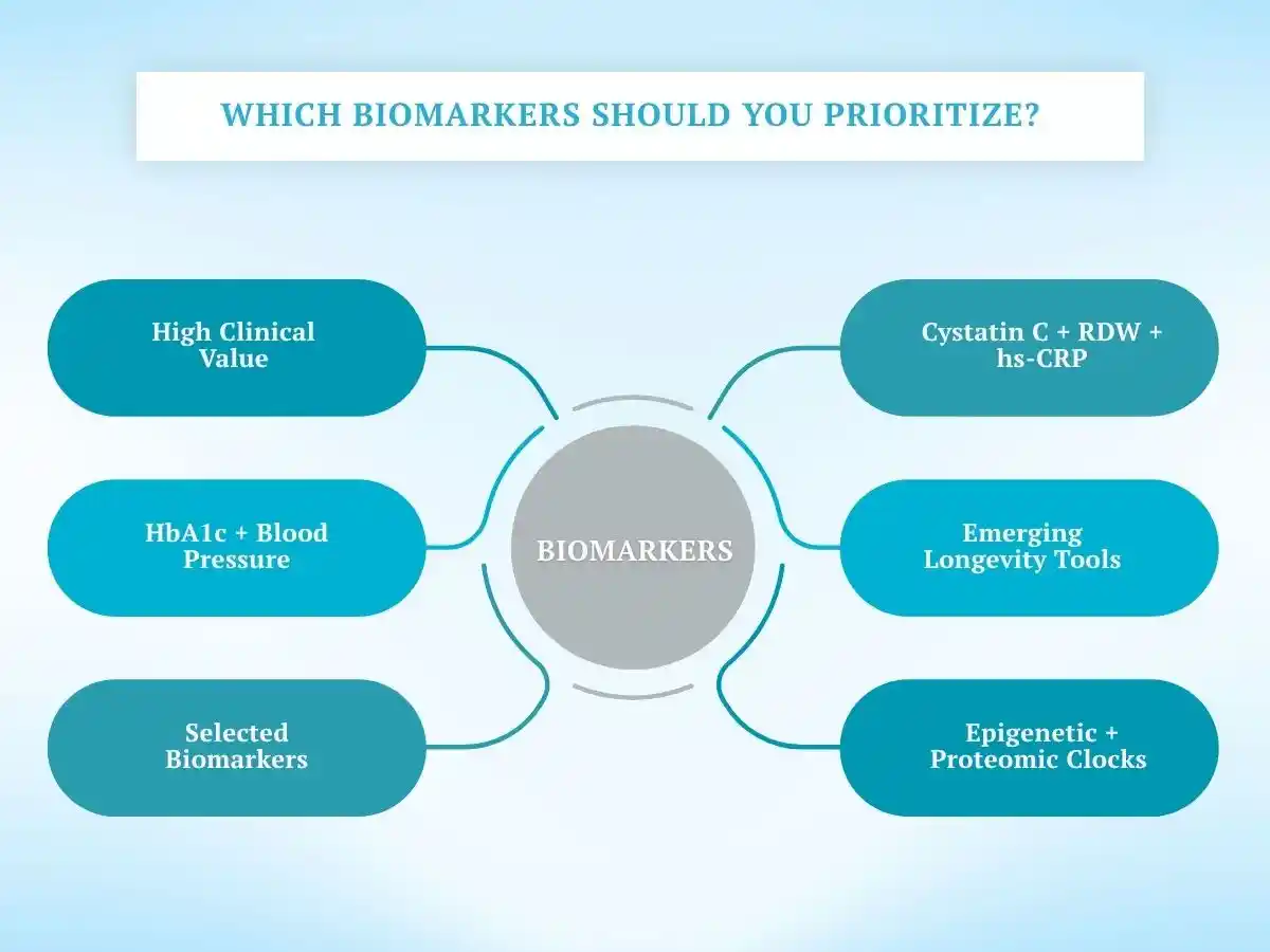 Key longevity biomarkers, including HbA1c, blood pressure, cystatin C, hs-CRP, and epigenetic markers.